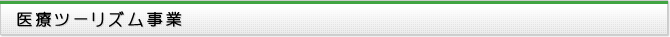 医療ツーリズム事業