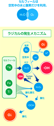 空気中の水と酸素だけを利用