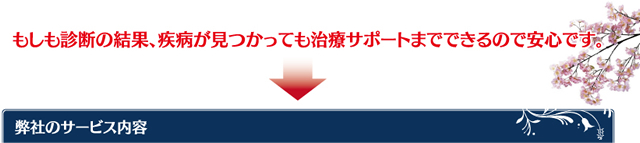 弊社のサービス内容